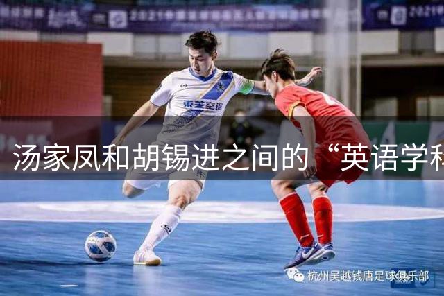 汤家凤和胡锡进之间的“英语学科”论战，众多大V支持胡锡进，网友：司马南倒下了，汤家凤起来了！